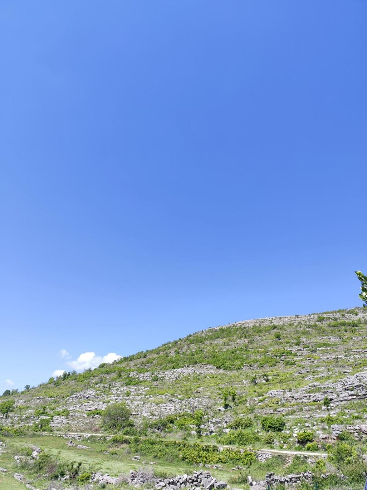 Oaza Mira Villa Nikšić Buitenkant foto